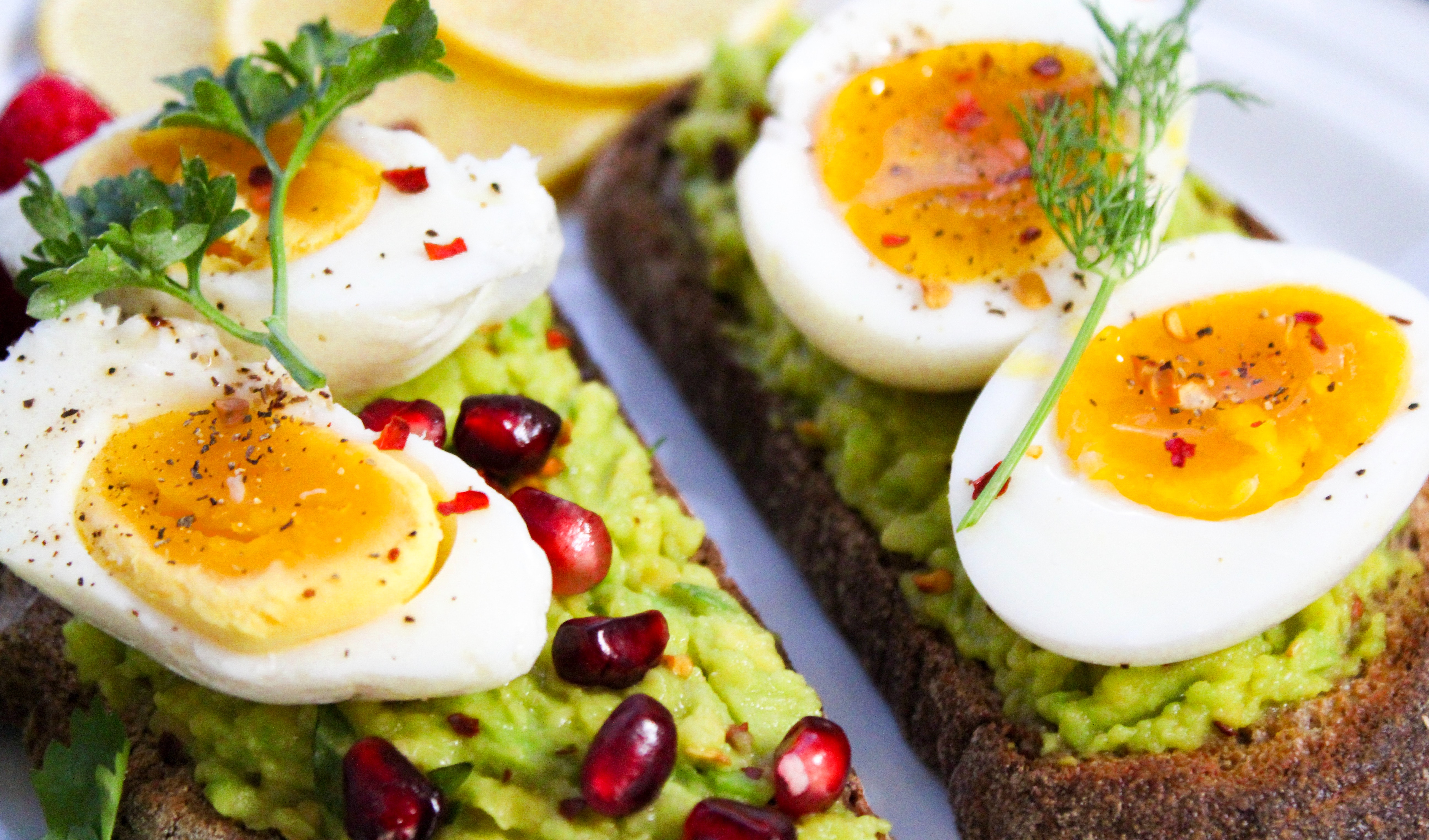  HB | healthy body